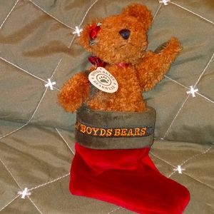 Boyd's bear